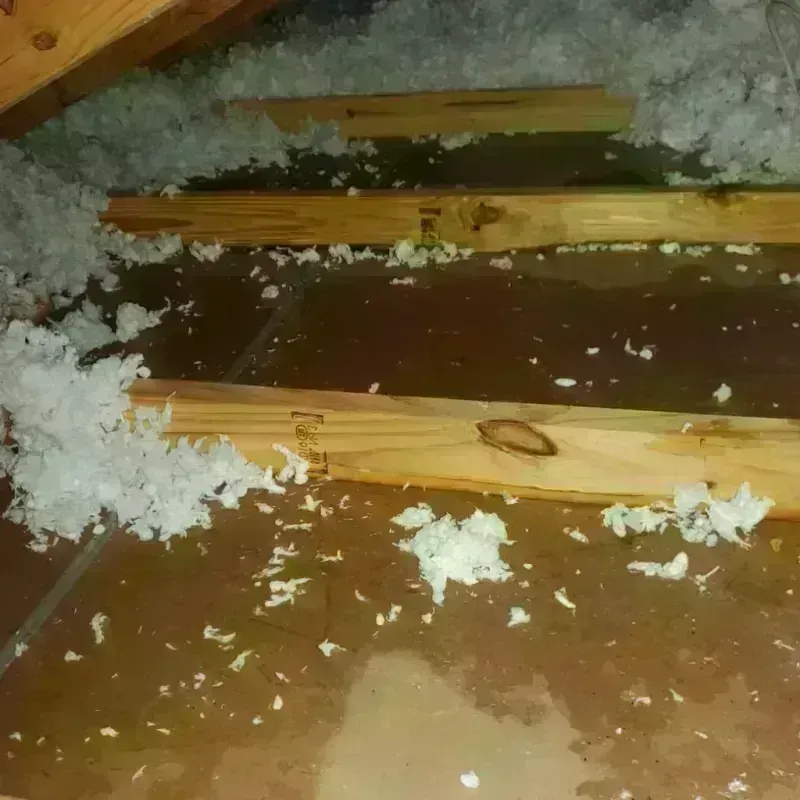 Attic Water Damage in Erie, CO