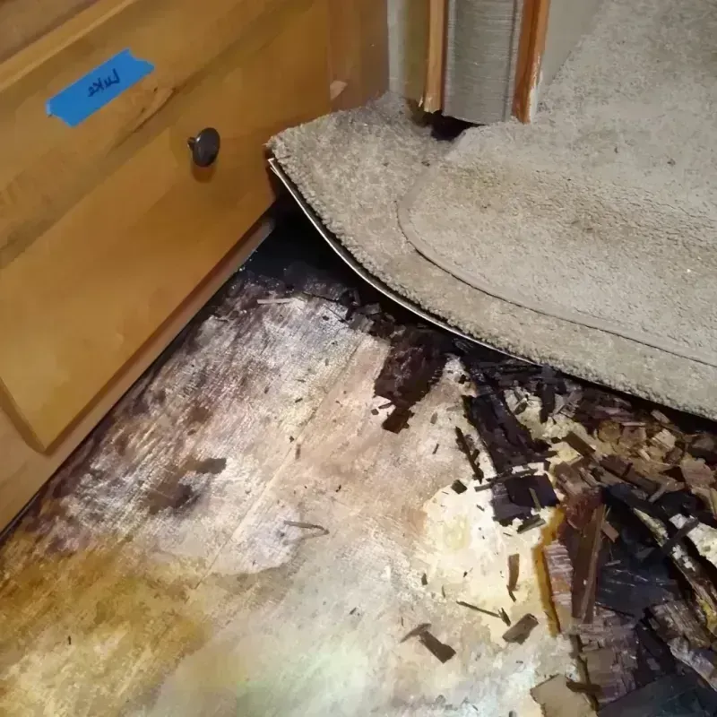 Wood Floor Water Damage in Erie, CO